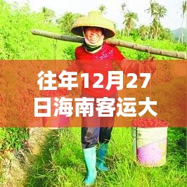 海南客運大巴車實時查詢系統(tǒng)，歷史軌跡與時代意義回顧（往年12月27日實時查詢）