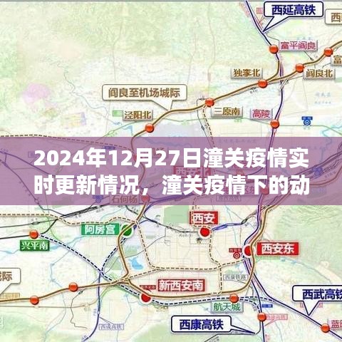 潼關(guān)疫情深度分析，實(shí)時(shí)更新與應(yīng)對(duì)策略
