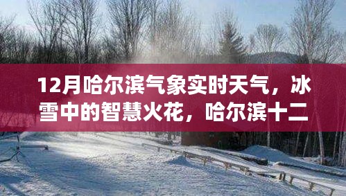 哈爾濱十二月冰雪智慧，氣象實時觀察與啟示錄