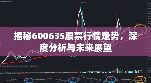 揭秘600635股票行情走勢，深度分析與未來展望