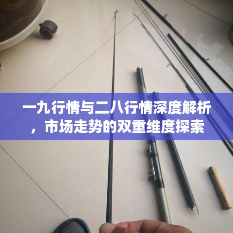 一九行情與二八行情深度解析，市場走勢的雙重維度探索