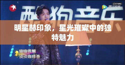 明星赫印象，星光璀璨中的獨(dú)特魅力