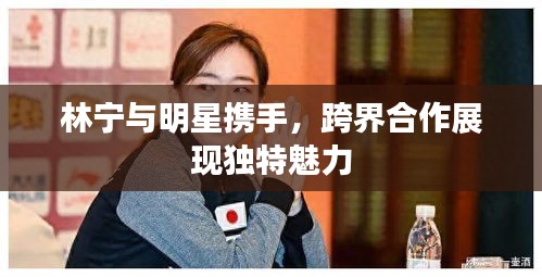 林寧與明星攜手，跨界合作展現(xiàn)獨特魅力