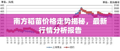 南方稻苗價格走勢揭秘，最新行情分析報告