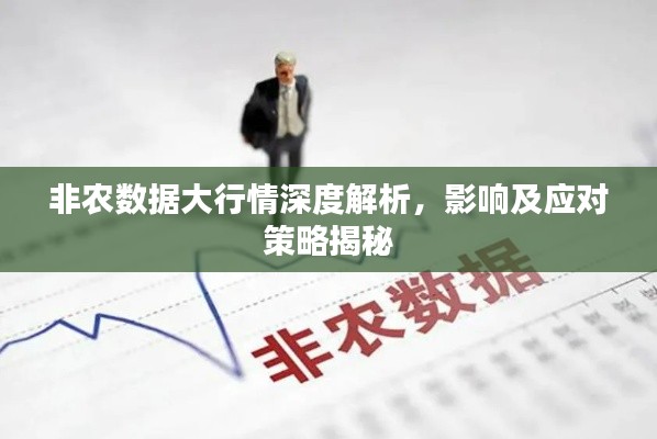 非農(nóng)數(shù)據(jù)大行情深度解析，影響及應(yīng)對(duì)策略揭秘