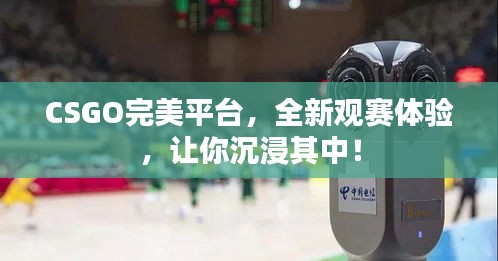 CSGO完美平臺(tái)，全新觀賽體驗(yàn)，讓你沉浸其中！