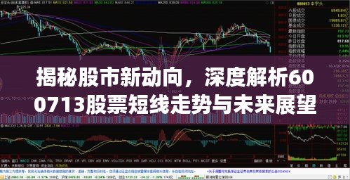 揭秘股市新動向，深度解析600713股票短線走勢與未來展望