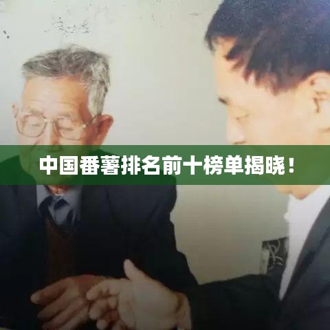 中國番薯排名前十榜單揭曉！