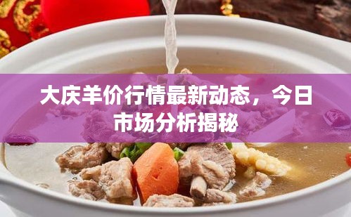 大慶羊價(jià)行情最新動(dòng)態(tài)，今日市場分析揭秘