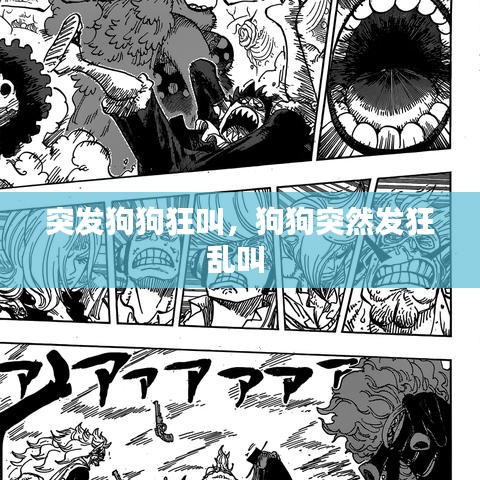 突發(fā)狗狗狂叫，狗狗突然發(fā)狂亂叫 
