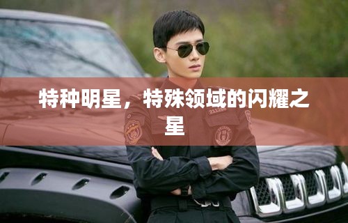 特種明星，特殊領域的閃耀之星
