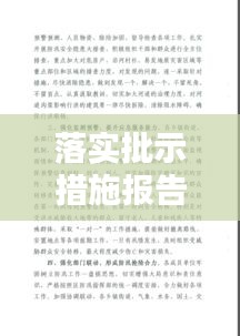 落實批示措施報告，批示落實情況 