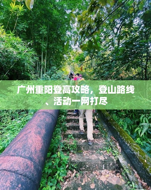 廣州重陽登高攻略，登山路線、活動一網打盡