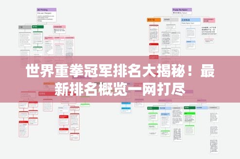 世界重拳冠軍排名大揭秘！最新排名概覽一網(wǎng)打盡