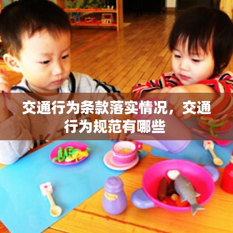 交通行為條款落實(shí)情況，交通行為規(guī)范有哪些 
