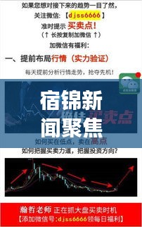 宿錦新聞聚焦時(shí)事熱點(diǎn)，解讀地方發(fā)展新動(dòng)態(tài)