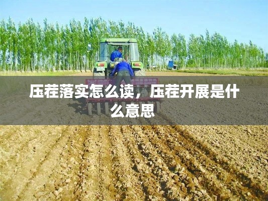 壓茬落實(shí)怎么讀，壓茬開展是什么意思 