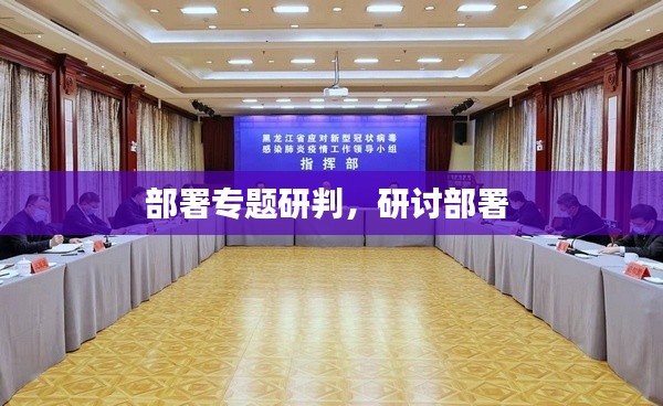 部署專題研判，研討部署 