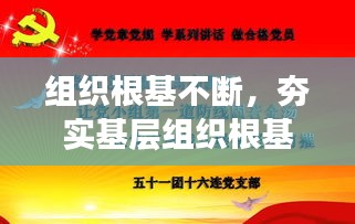 組織根基不斷，夯實(shí)基層組織根基 