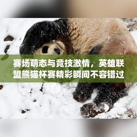 賽場(chǎng)萌態(tài)與競(jìng)技激情，英雄聯(lián)盟熊貓杯賽精彩瞬間不容錯(cuò)過！