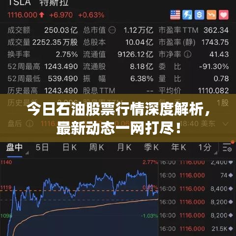 今日石油股票行情深度解析，最新動(dòng)態(tài)一網(wǎng)打盡！