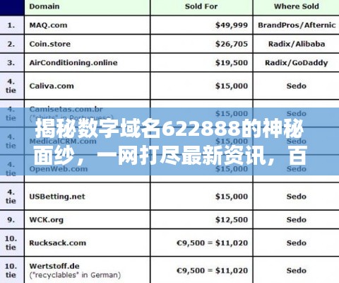 揭秘數(shù)字域名622888的神秘面紗，一網(wǎng)打盡最新資訊，百度直達！