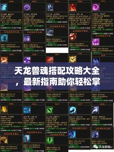 天龍獸魂搭配攻略大全，最新指南助你輕松掌握搭配技巧！