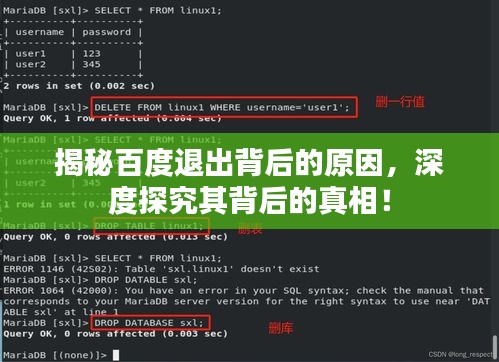 揭秘百度退出背后的原因，深度探究其背后的真相！