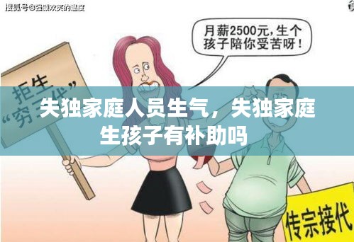 失獨家庭人員生氣，失獨家庭生孩子有補助嗎 