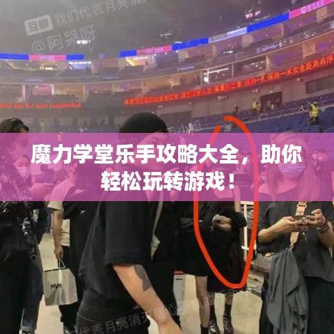 魔力學(xué)堂樂(lè)手攻略大全，助你輕松玩轉(zhuǎn)游戲！
