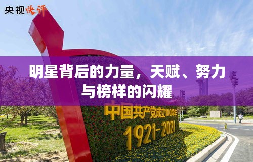 明星背后的力量，天賦、努力與榜樣的閃耀
