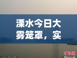 yierbuhua 第2頁