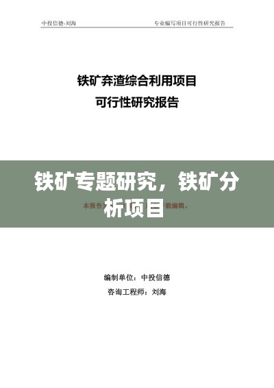 鐵礦專題研究，鐵礦分析項目 