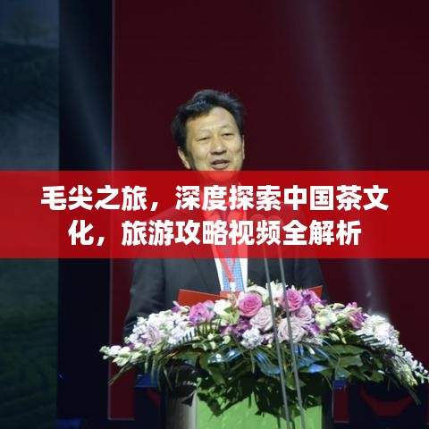 毛尖之旅，深度探索中國茶文化，旅游攻略視頻全解析