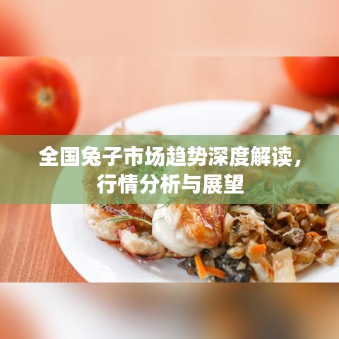 全國兔子市場趨勢深度解讀，行情分析與展望