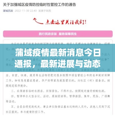 蒲域疫情最新消息今日通報(bào)，最新進(jìn)展與動(dòng)態(tài)關(guān)注