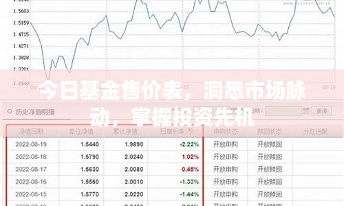 今日基金售價表，洞悉市場脈動，掌握投資先機