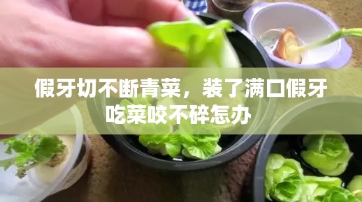 假牙切不斷青菜，裝了滿口假牙吃菜咬不碎怎辦 