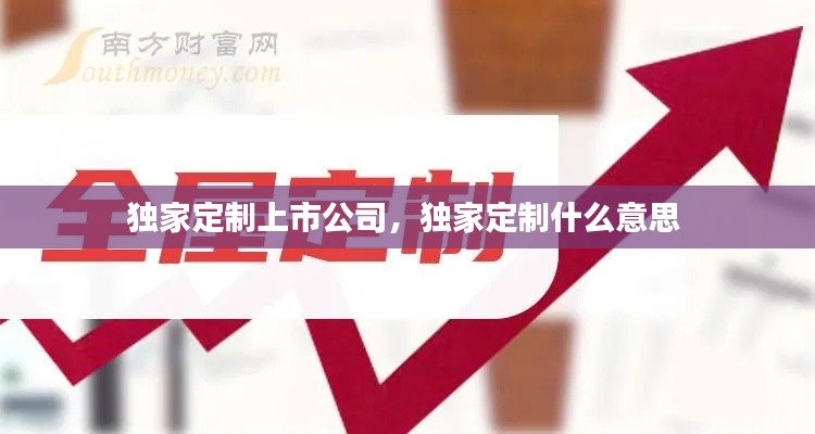 獨家定制上市公司，獨家定制什么意思 