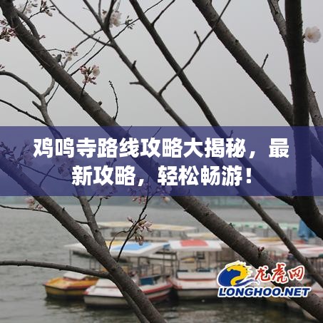 雞鳴寺路線攻略大揭秘，最新攻略，輕松暢游！
