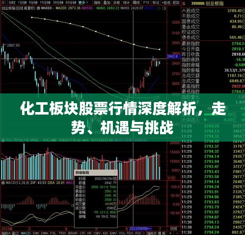 化工板塊股票行情深度解析，走勢(shì)、機(jī)遇與挑戰(zhàn)