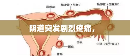 蛙鳴蚓叫 第2頁