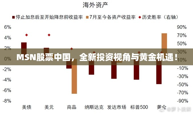 MSN股票中國，全新投資視角與黃金機(jī)遇！