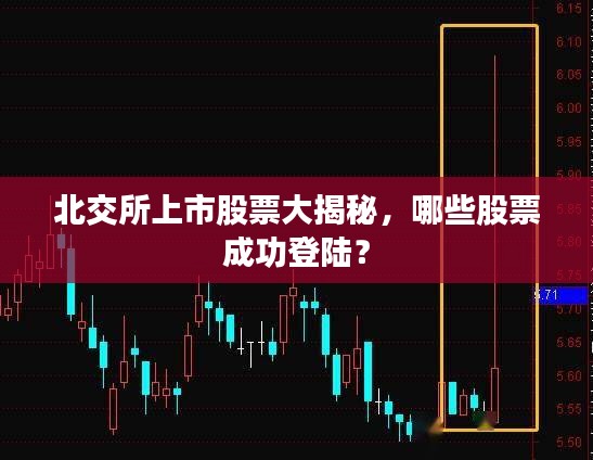 北交所上市股票大揭秘，哪些股票成功登陸？