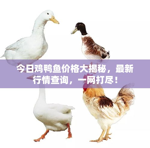 勃然大怒 第2頁