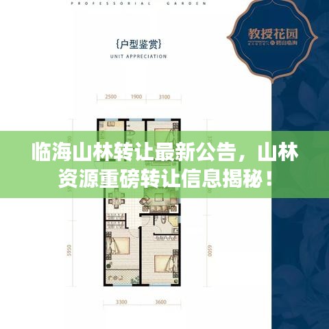 臨海山林轉讓最新公告，山林資源重磅轉讓信息揭秘！