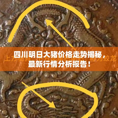 四川明日大豬價(jià)格走勢(shì)揭秘，最新行情分析報(bào)告！