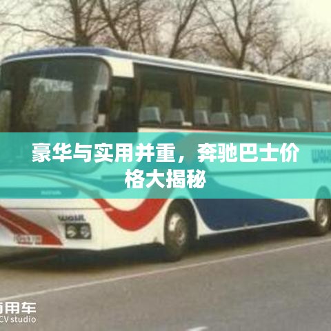 豪華與實用并重，奔馳巴士價格大揭秘