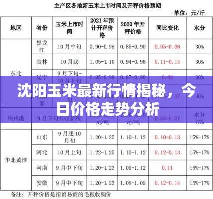沈陽玉米最新行情揭秘，今日價格走勢分析