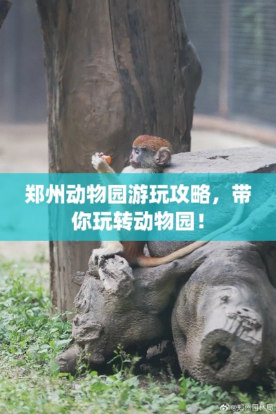 鄭州動物園游玩攻略，帶你玩轉(zhuǎn)動物園！